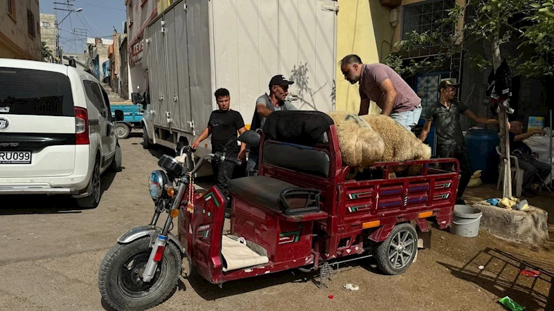 Kilis’te kurbanlıklar sepetli motosikletlerle