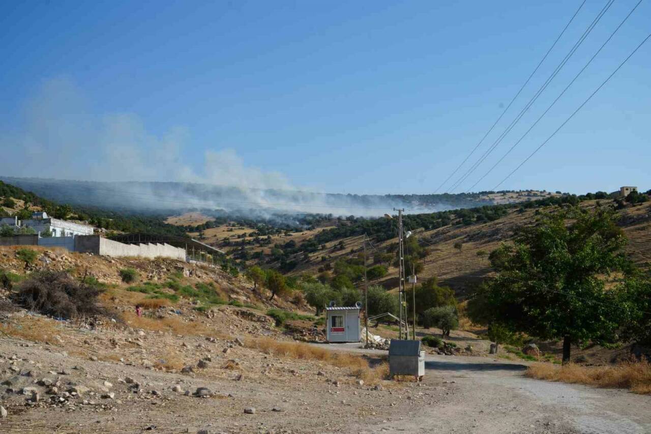 Kilis’in Polateli ilçesinde elektrik hattından çıkan ve ormanlık alana sıçrayan