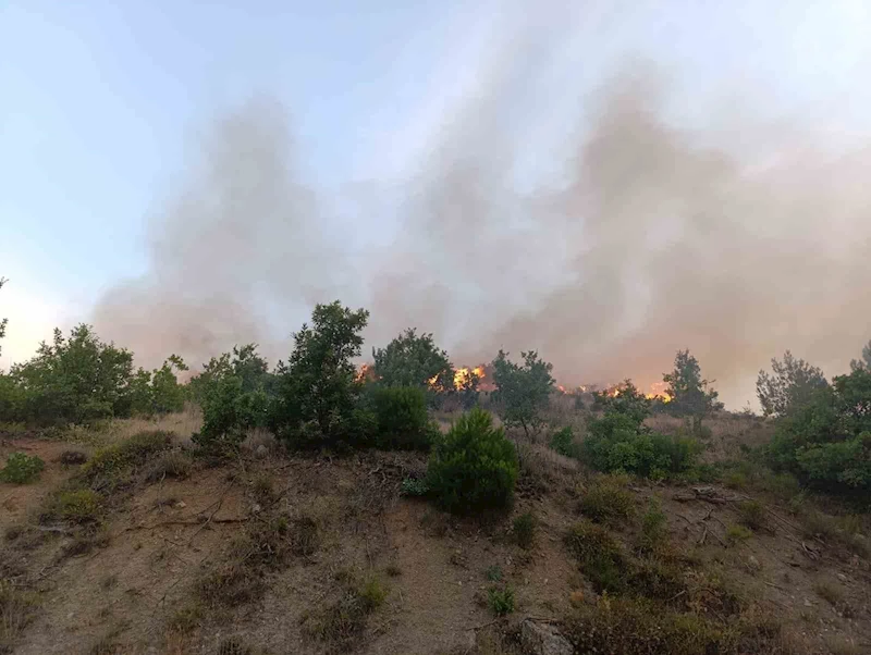 Adıyaman’ın Gölbaşı ilçesinde bulunan