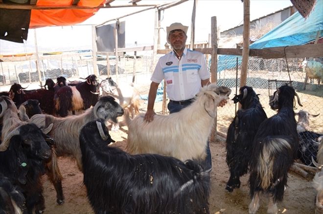 Kurban Bayramına sayılı günler