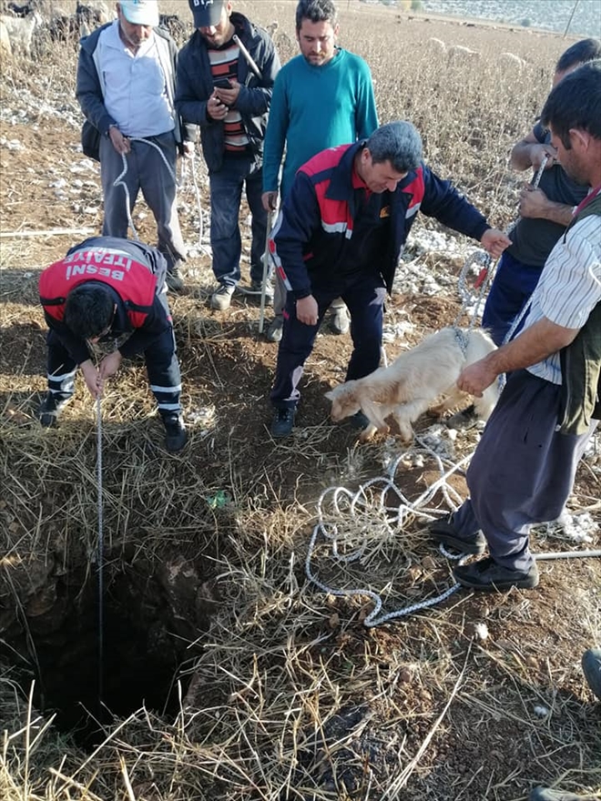 Besni´ye bağlı Hasanlı (Hasemli)