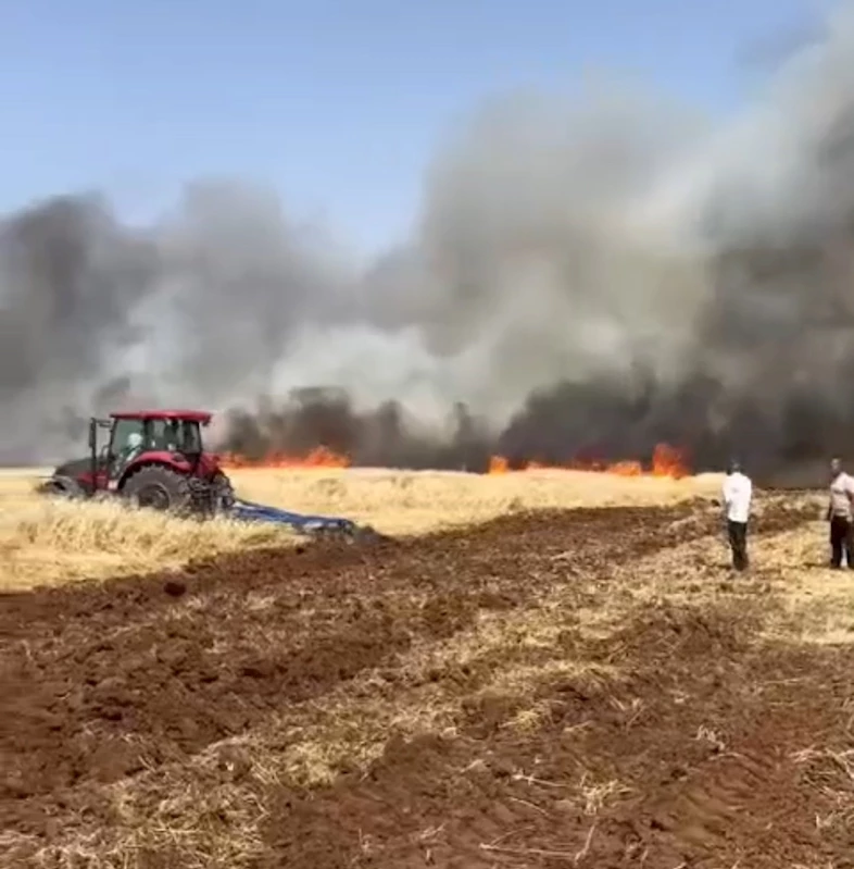 Mardin’de ekili arazide yangın,