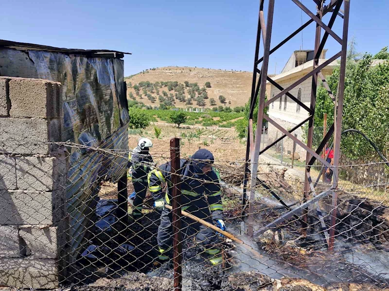 Mardin’de evin bahçesinde çıkan