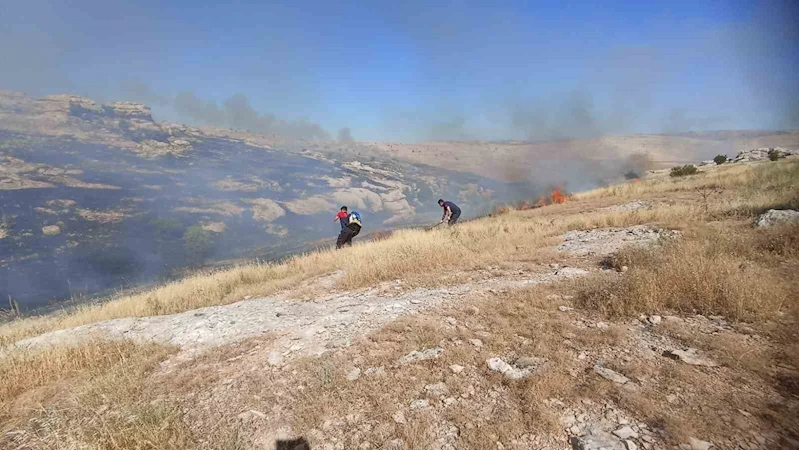 Mardin’de ormanlık alanda çıkan