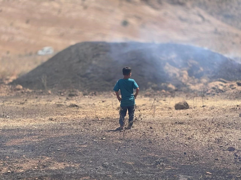 Mardin’de yangının ağır bilançosu