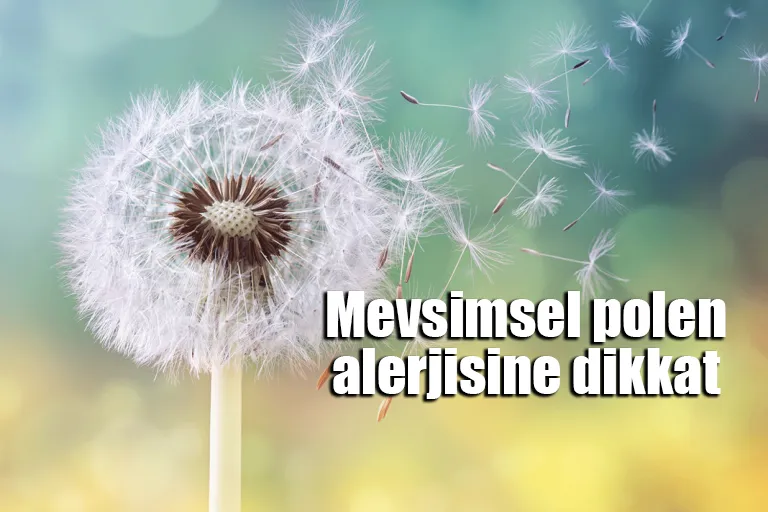 Mevsimsel polen alerjisine dikkat