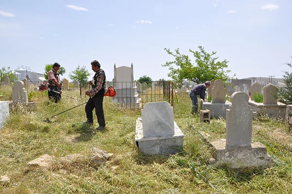   Besni Belediye Başkanı