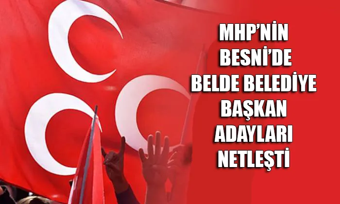 Milliyetçi Hareket Partisi 31Mart'ta