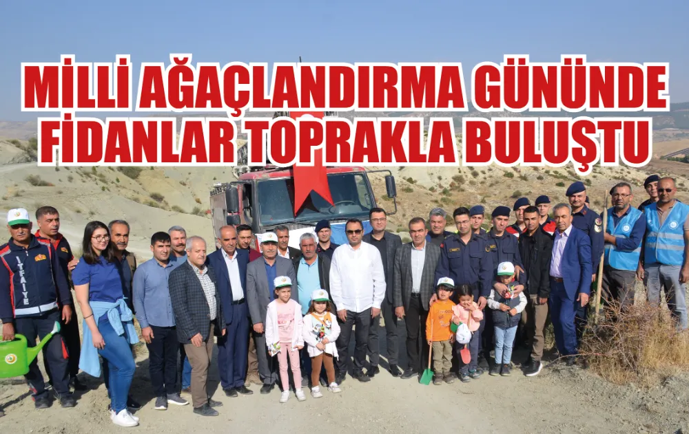 11 Kasım Milli Ağaçlandırma