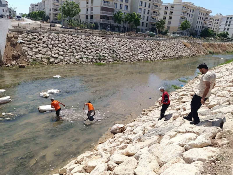 Nusaybin’de Çağ Çağ Deresi’ne