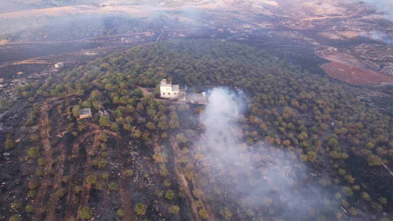 Önemli gelişme! Adıyaman’da çıkan orman yangını söndürüldü