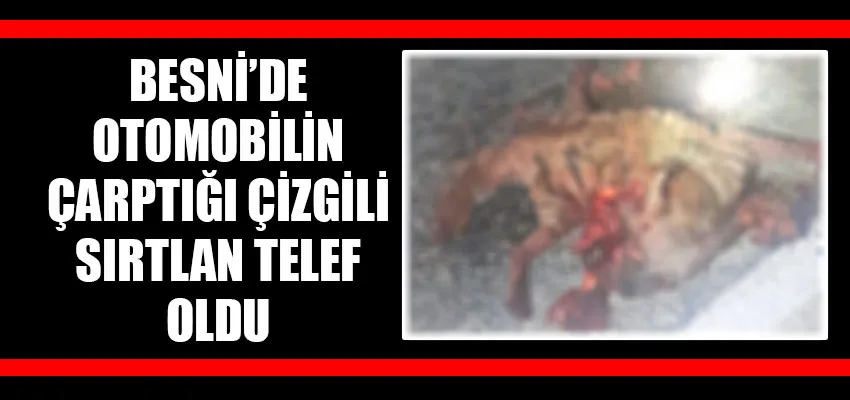 Besni’de otomobilin çarptığı nesli