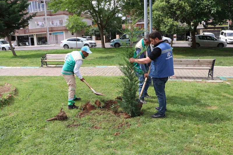 Peyzaj çalışması ile parklar