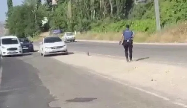 Polis, suçluyu yakalamak için