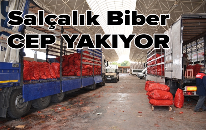 Salçalık biber mevsimine girilmesiyle