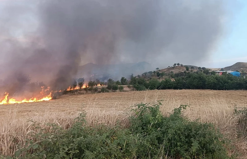 Adıyaman’da meydana gelen anız