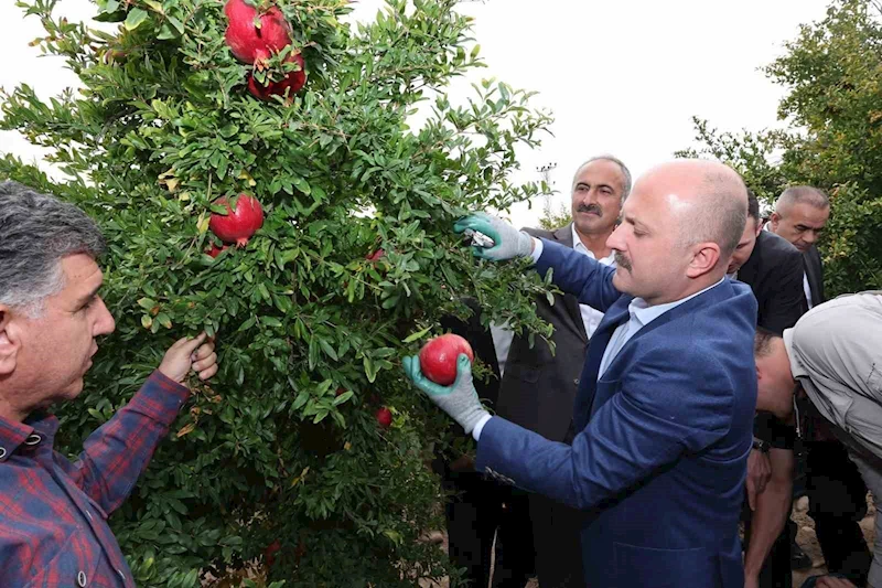 Adıyaman Valisi Osman Varol,