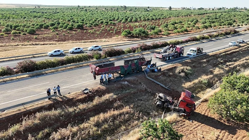 Şanlıurfa’da kurbanlık boğaları taşıyan