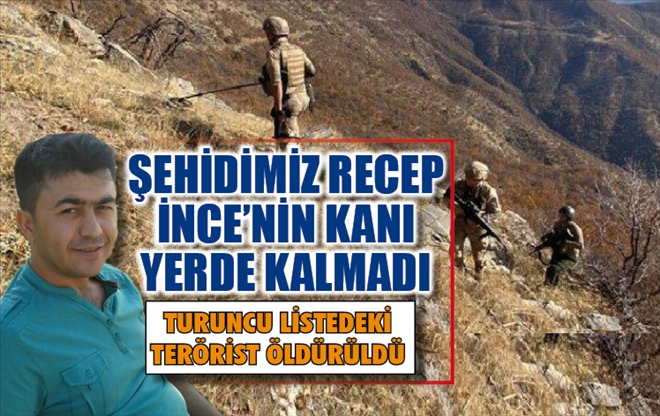 İçişleri Bakanlığı, Yıldırım operasyonları