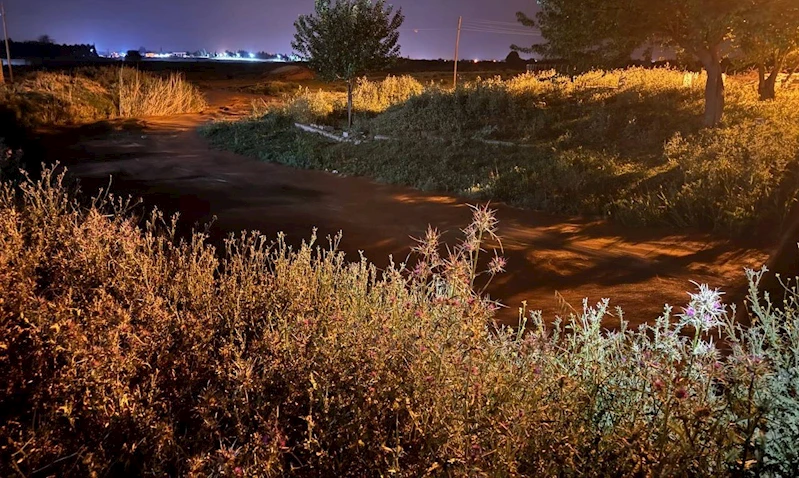 Sel suları mahallede paniğe