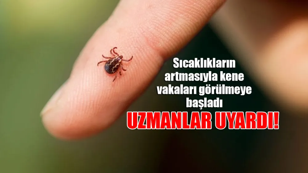 Havaların ısınması ile birlikte