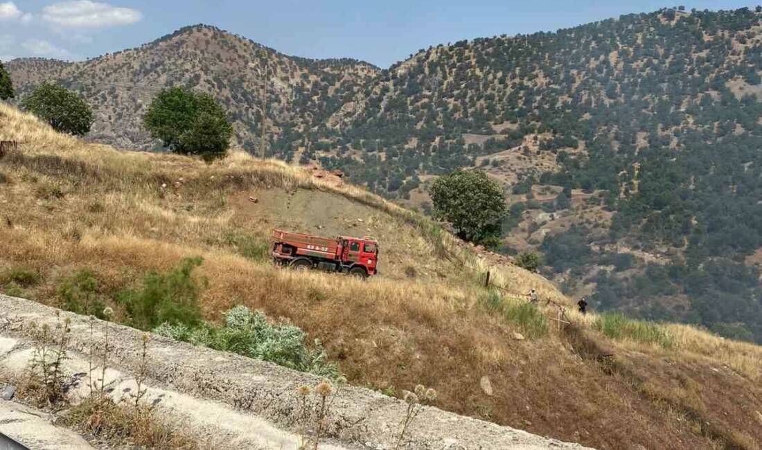 Siirt’in Baykan ilçesinde, ormanlık