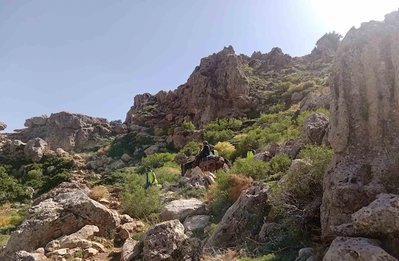 Siirt’te dağ başında rahatsızlanan