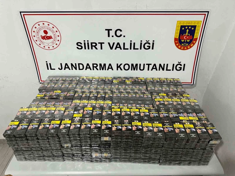 Siirt’te jandarma ekiplerince yapılan