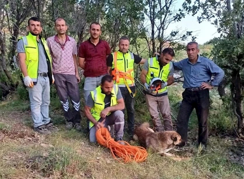 Siirt’te kuyuya düşen çoban