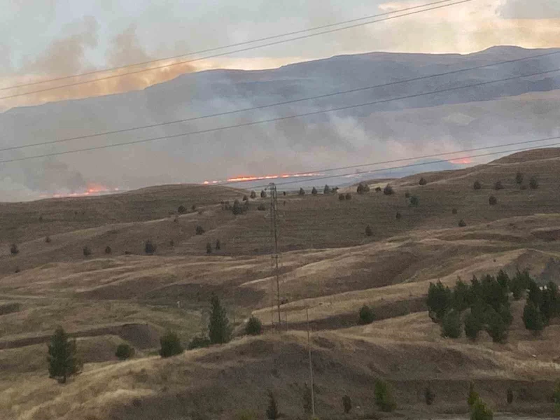 Siirt’teki anız yangınları kontrol