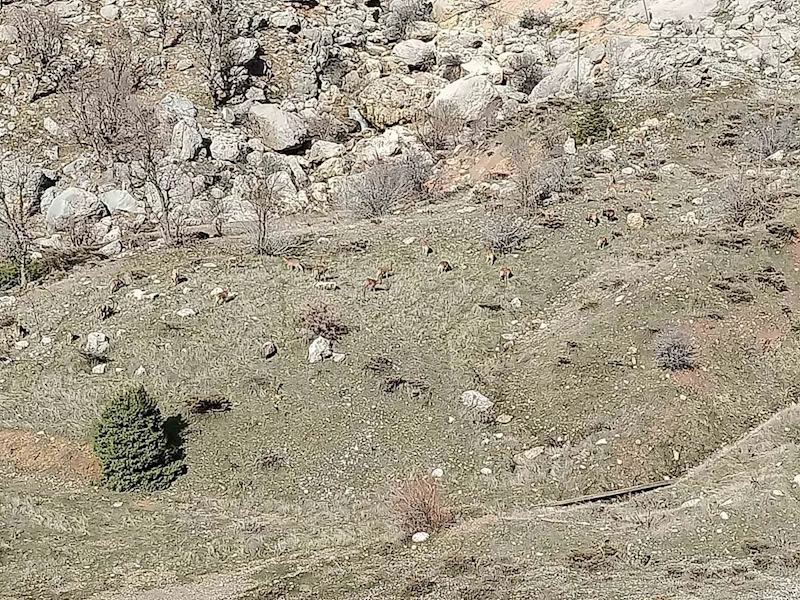 Adıyaman’ın Sincik ilçesinde dağ