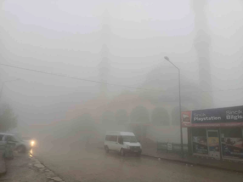 Adıyaman’ın Sincik ilçesinde yoğun