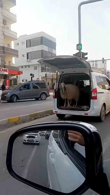 Şırnak’ın Silopi ilçesinde bir