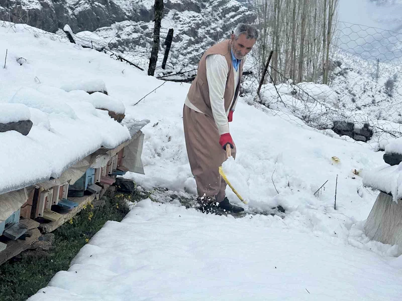 Şırnak’ta yalancı bahar, bal