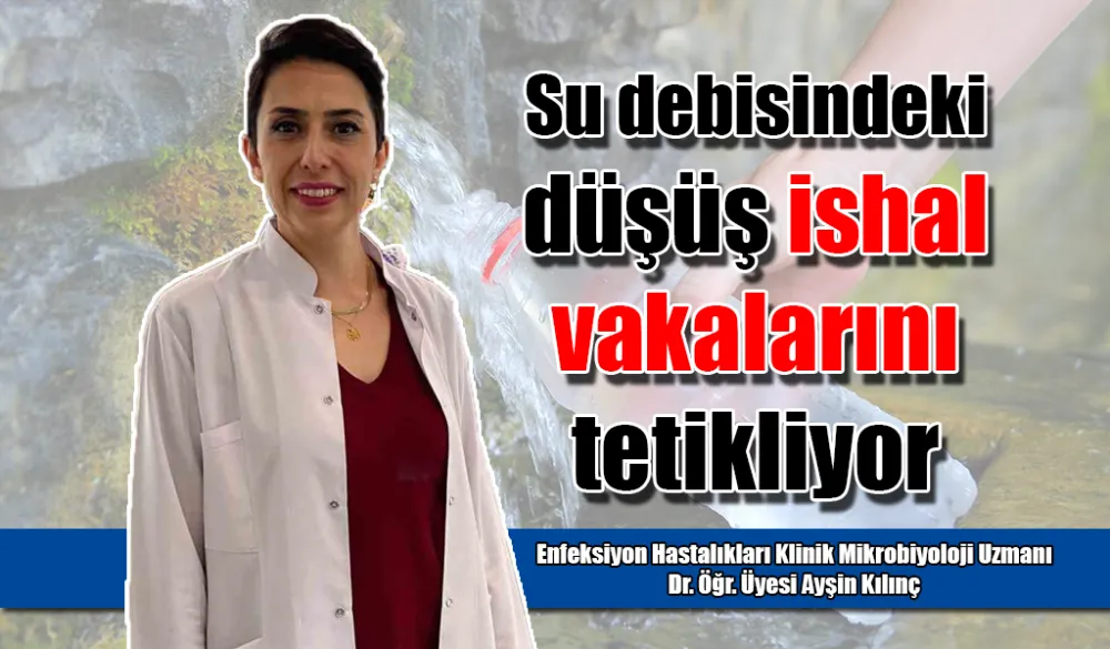 Dr. Öğr. Üyesi Ayşin