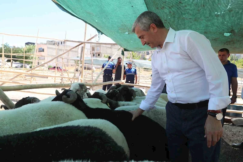 Tahmazoğlu’ndan Kurban Bayramı’nda vatandaşın