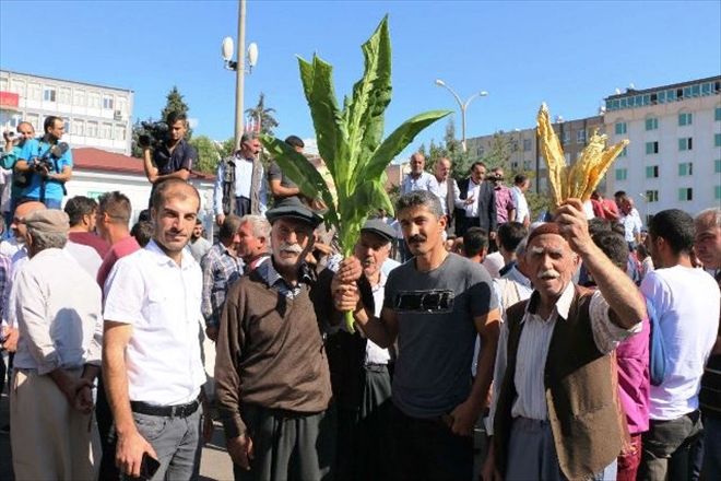 Hükumetin meclise sunduğu Torba