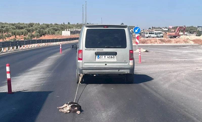 Gaziantep’in Nizip yolu üzerinde