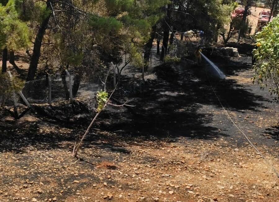 Adıyaman’da, meydana gelen kuru