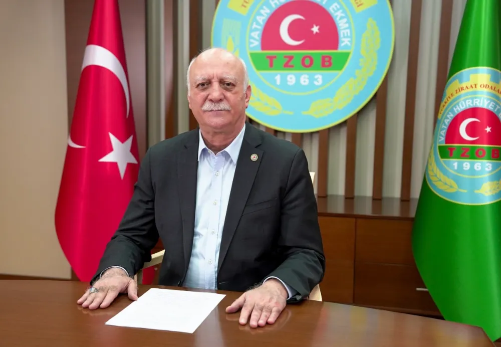 Zeytinyağında taklit ve tağşiş devam ediyor Türkiye Ziraat Odaları Birliği (TZOB) Genel Başkanı Şemsi Bayraktar, zeytinyağında