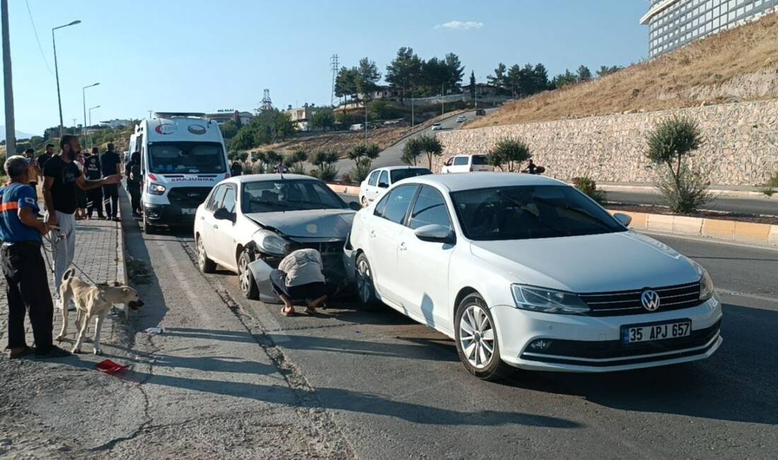 Adıyaman'ın Karapınar Mahallesi Flamingo