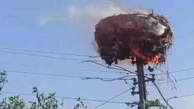 Adıyaman’da, elektrik direği üzerinde bulunan leylek yuvası alev alarak cayır