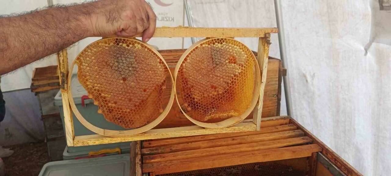 Doğal yaylalarıyla, geniş florasıyla ve muhteşem doğasıyla ünlü olan Adıyaman'da