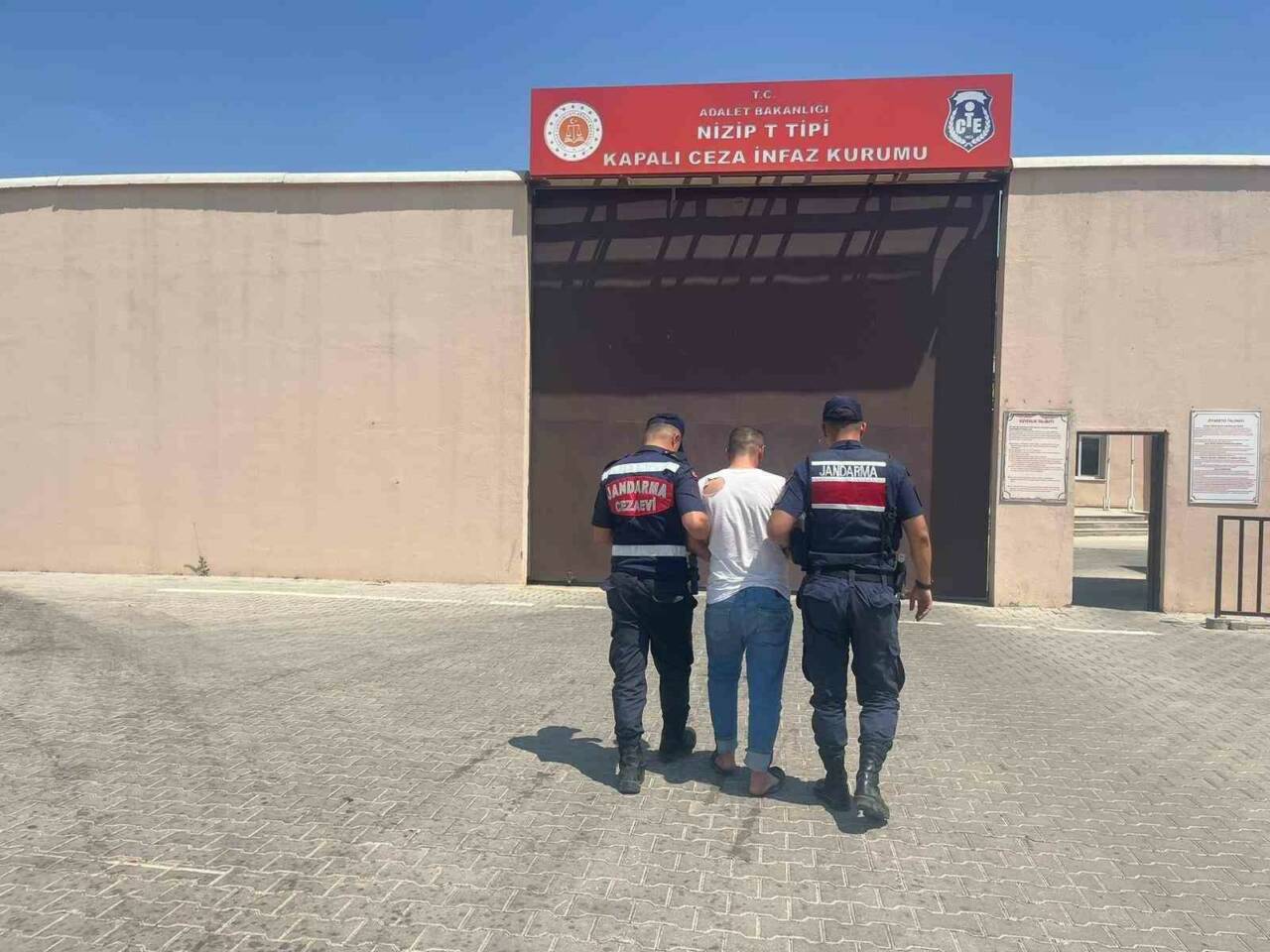 Gaziantep’te ’yeşil altın’ olarak bilinen fıstığın hasat dönemi yaklaşırken jandarma