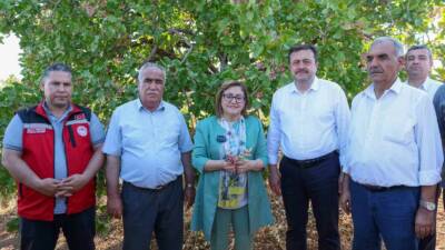 Antep fıstığı üreticisine alım ve ilaçlama müjdesi.