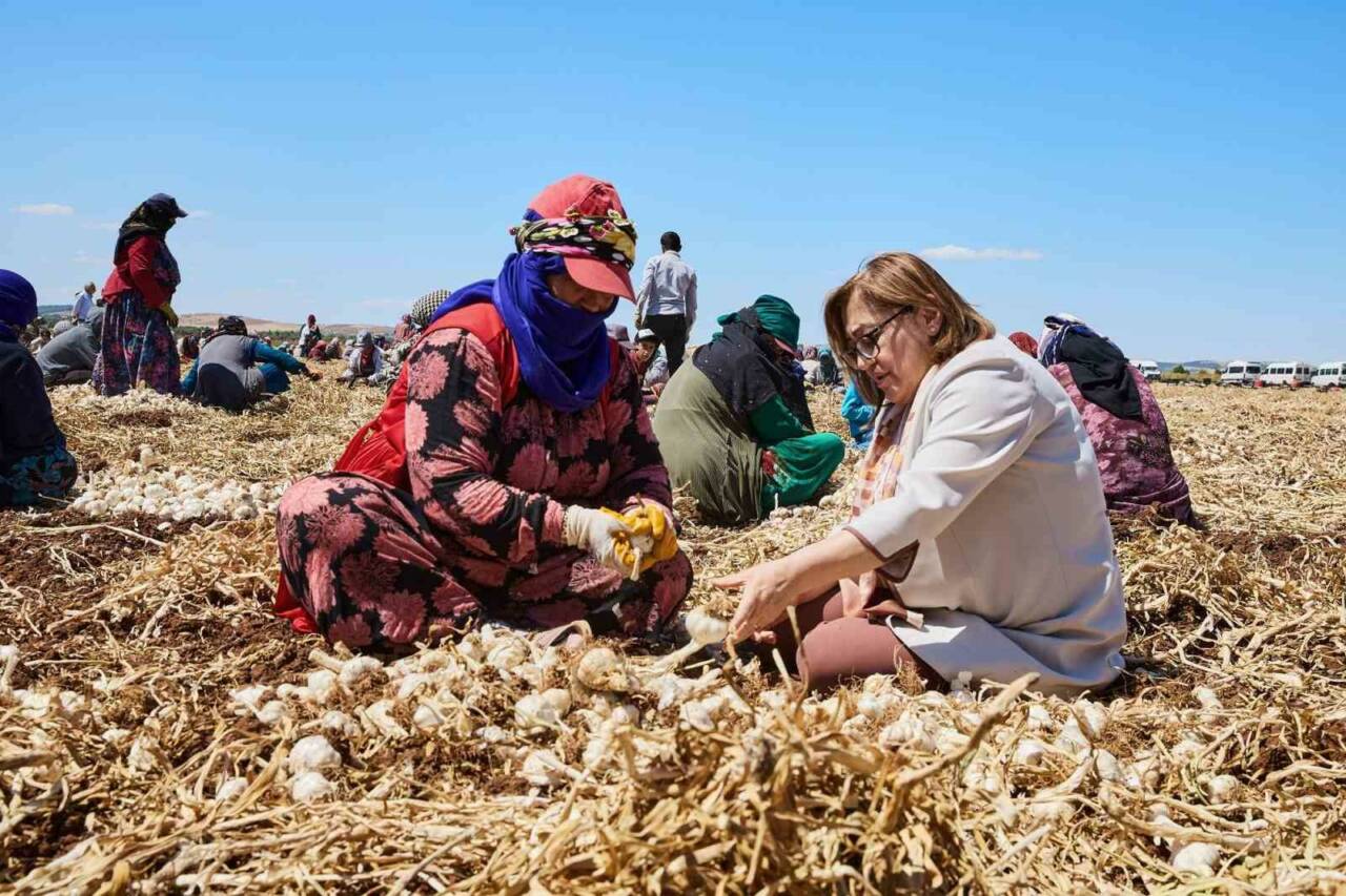 Çiftçiye 8 Milyon 432 Bin 925 Litre Mazot Desteği Verildi