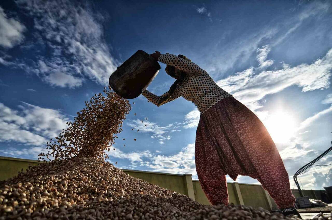 Gaziantep, 100 yılın ötesinde Gastronomi ve Kültürel bir şölen yaşatacak