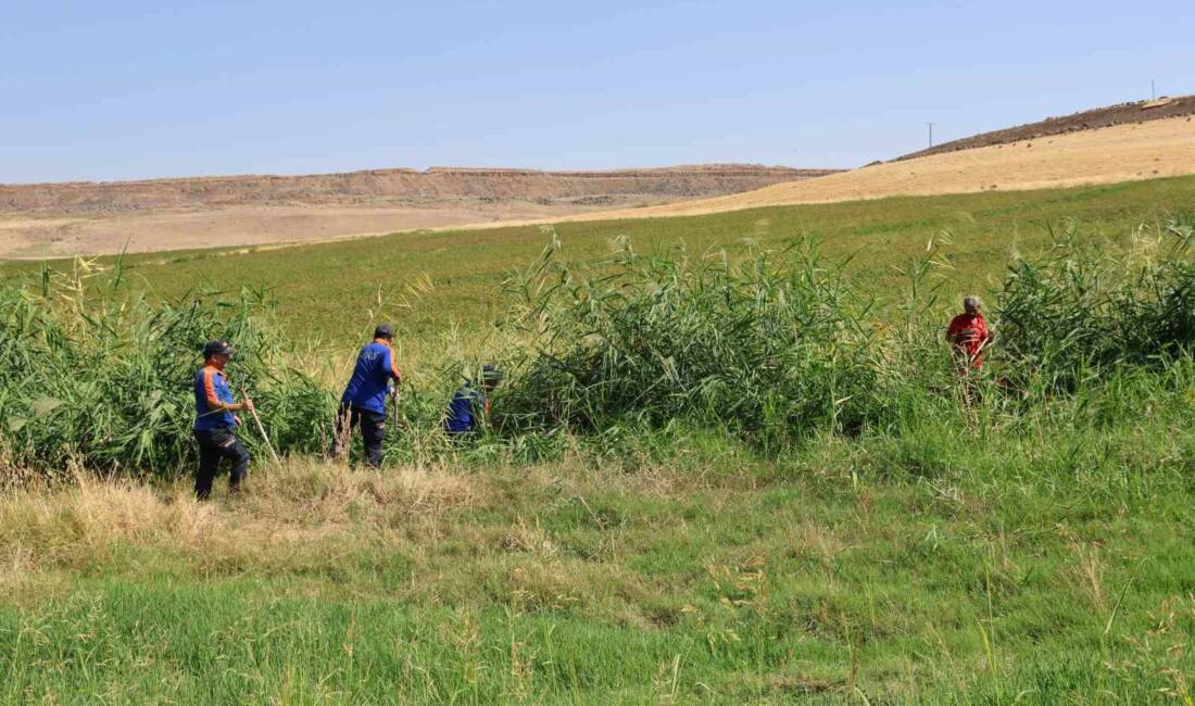 Diyarbakır'da 8 yaşındaki Narin