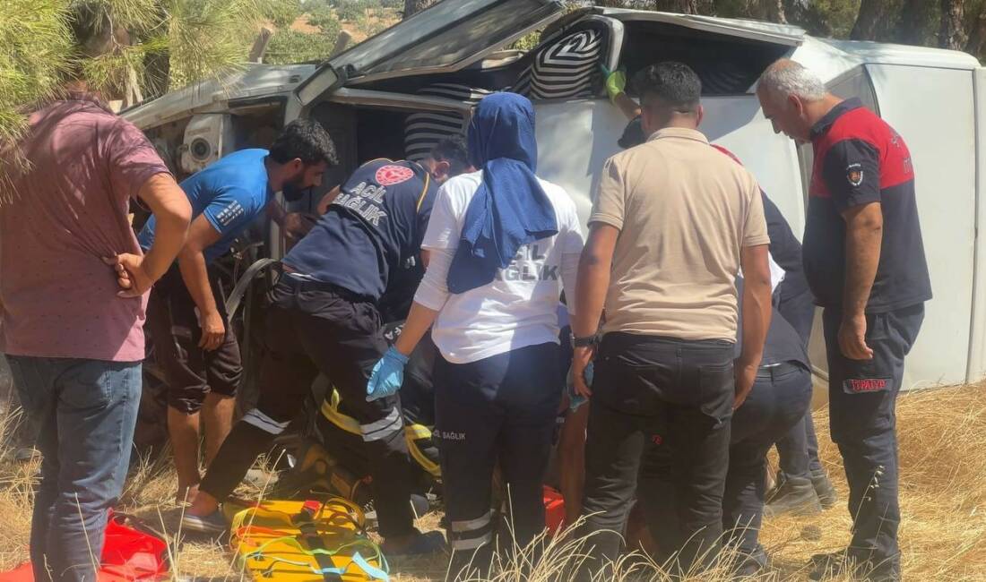 Şanlıurfa’da kontrolden çıkarak ağaca