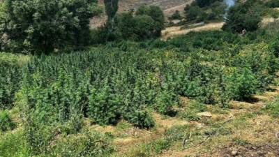 Diyarbakır’ın Lice ilçesinde jandarmanın düzenlediği Şehit Jandarma Uzman Çavuş Uğur